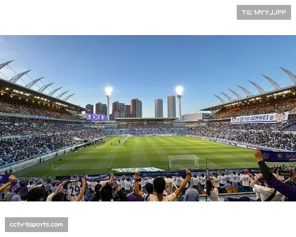 天津津门虎双主场运营：13场在泰达足球场，2场在天津奥体中心